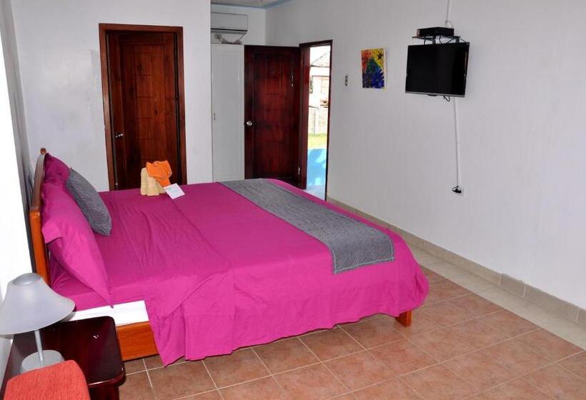 标准间, Canoa´s Wonderland