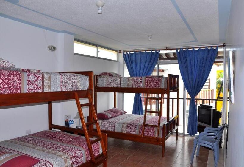 家庭间, Canoa´s Wonderland