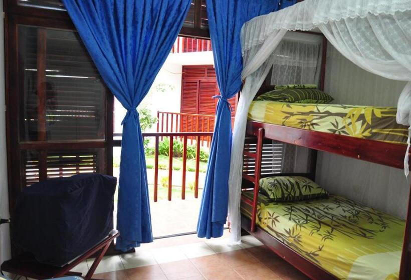 家庭间, Canoa´s Wonderland