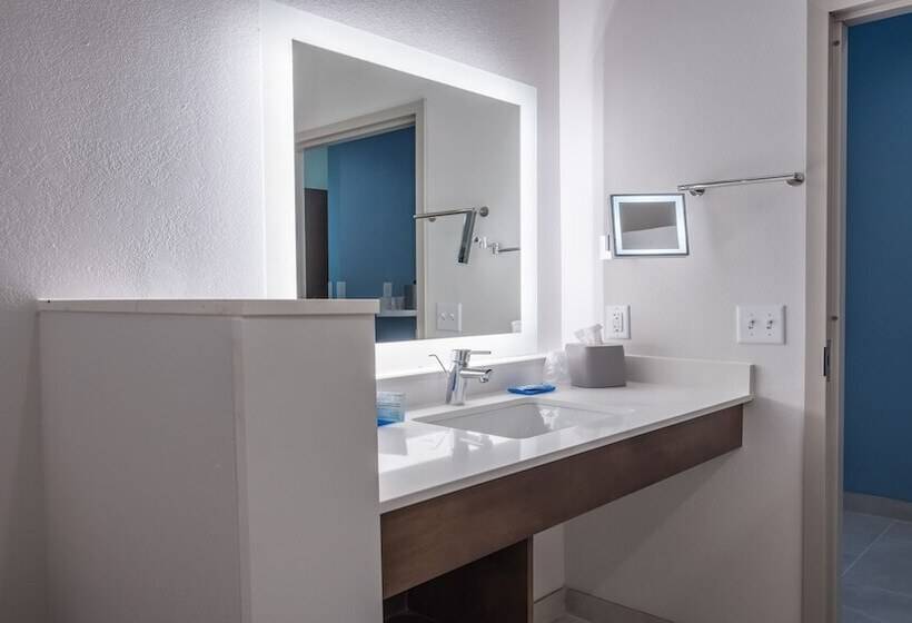 스탠다드 룸, Holiday Inn Express & Suites   Dripping Springs   Austin Area, An Ihg