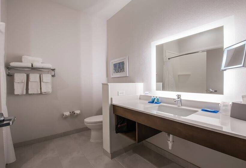 장애인을 위한 스탠다드 룸, Holiday Inn Express & Suites   Dripping Springs   Austin Area, An Ihg