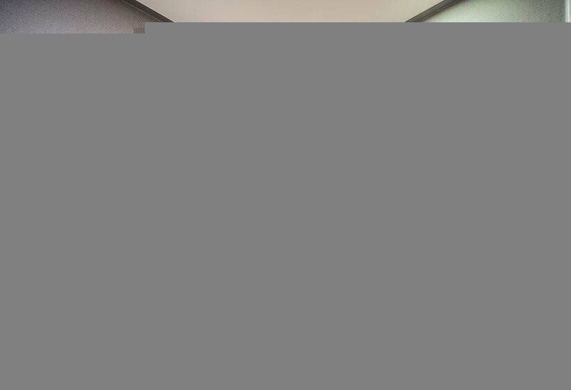 Camera Standard, Kabo