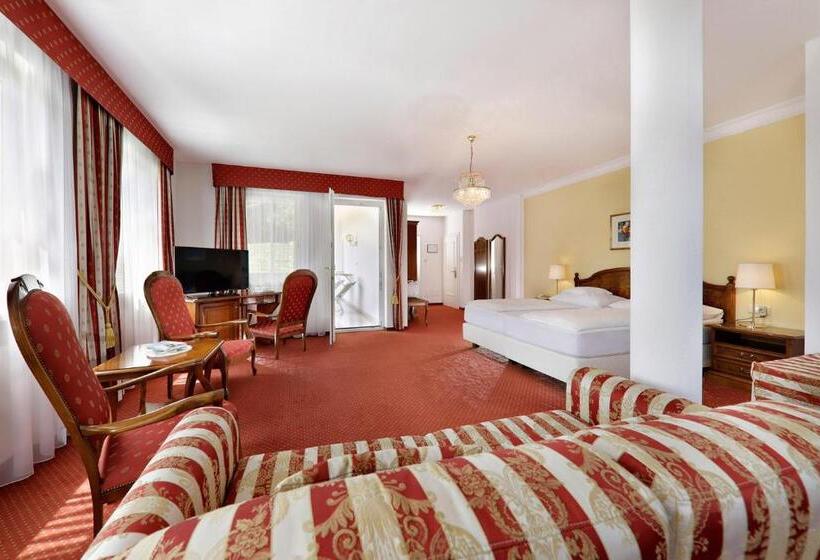 جناح ديلوكس, Mühle Mayer