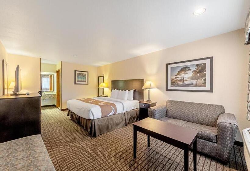 غرفة قياسية سرير كينج, Quality Inn