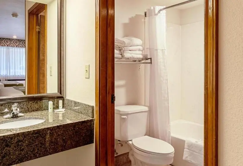 Standard-huone King-vuode, Quality Inn