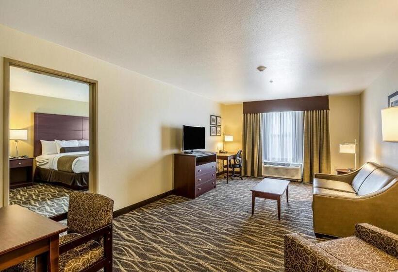 스위트, Cobblestone Hotel & Suites   Stevens Point