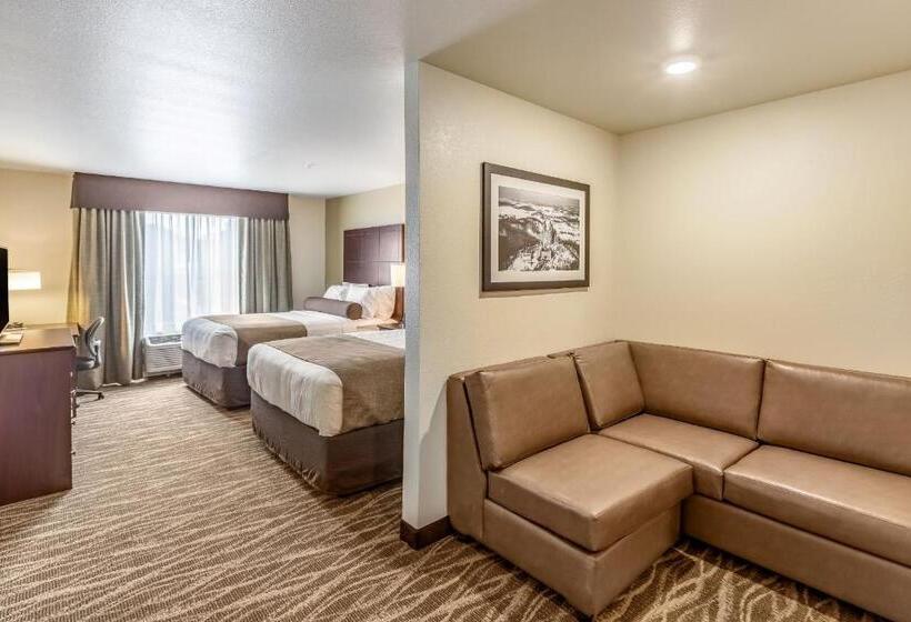 Студия Стандарт, Cobblestone Hotel & Suites   Stevens Point