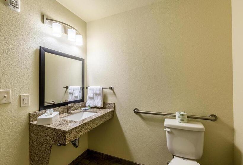 Номер Стандарт Кровать Кинг Адаптированный для Инвалидов, Cobblestone Hotel & Suites   Stevens Point