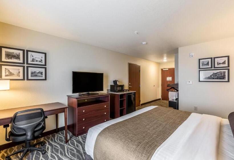 장애인을 위한 킹사이즈 침대 스탠다드 룸, Cobblestone Hotel & Suites   Stevens Point