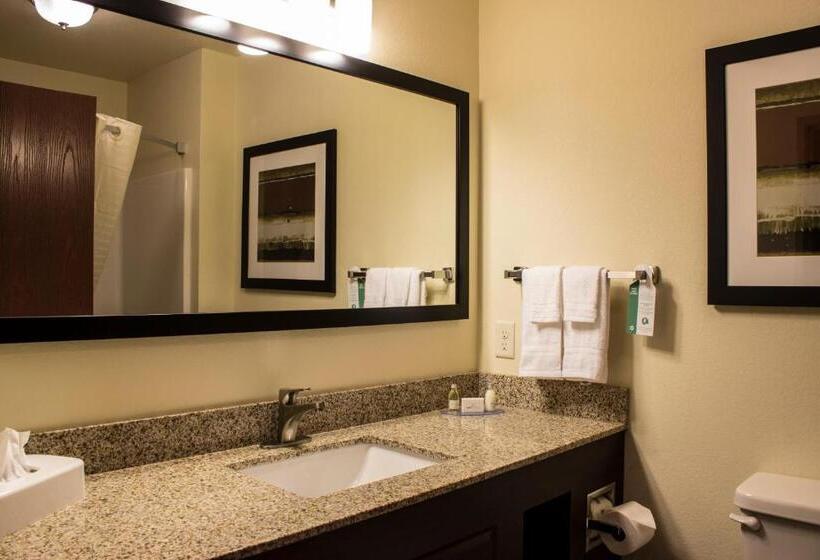 장애인을 위한 스탠다드 룸, Cobblestone Hotel & Suites   Stevens Point