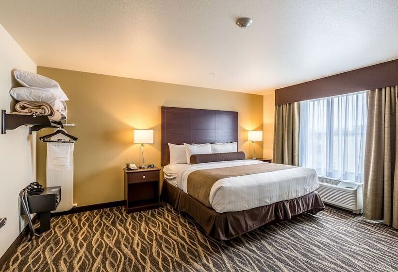 Люкс, Cobblestone Hotel & Suites   Stevens Point