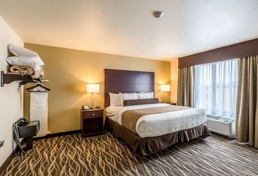 Sviitti, Cobblestone Hotel & Suites Stevens Point