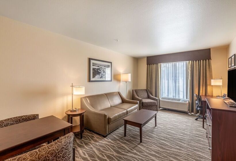 스위트, Cobblestone Hotel & Suites   Stevens Point