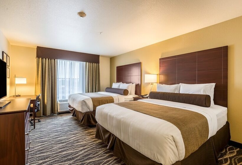 스탠다드 스튜디오, Cobblestone Hotel & Suites   Stevens Point