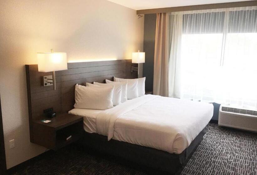 סטודיו סטנדרט, מיטה זוגית, Gundersen Hotel & Suites
