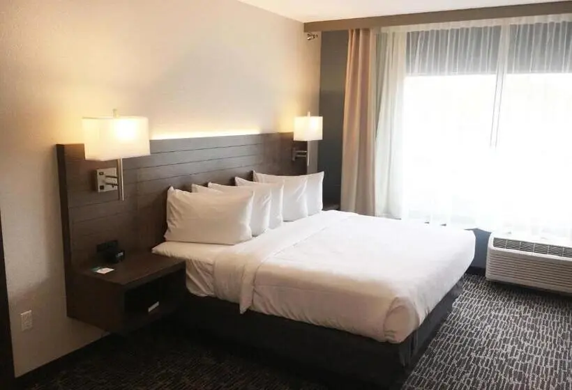 Standard-studio King-vuode, Gundersen Hotel & Suites
