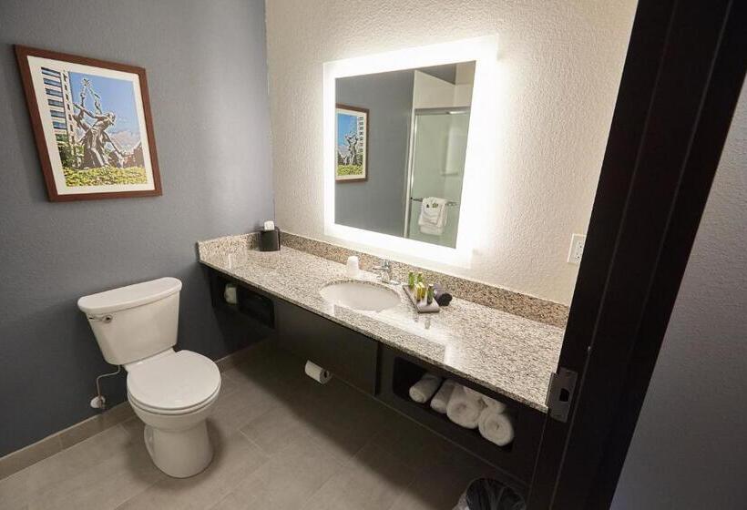 إستوديو قياسى, Gundersen Hotel & Suites