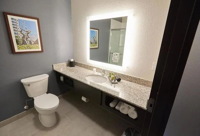 Standard-studio, Gundersen Hotel & Suites