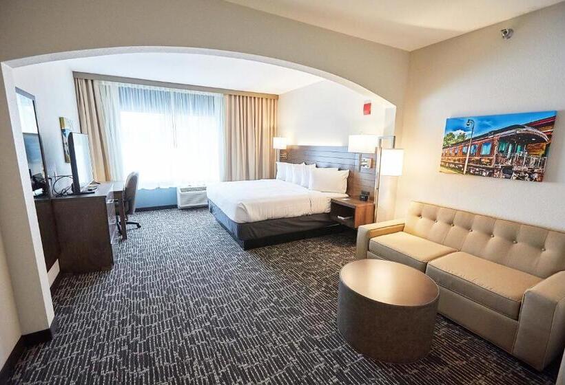 Студио Стандарт Кровать Кинг, Gundersen Hotel & Suites