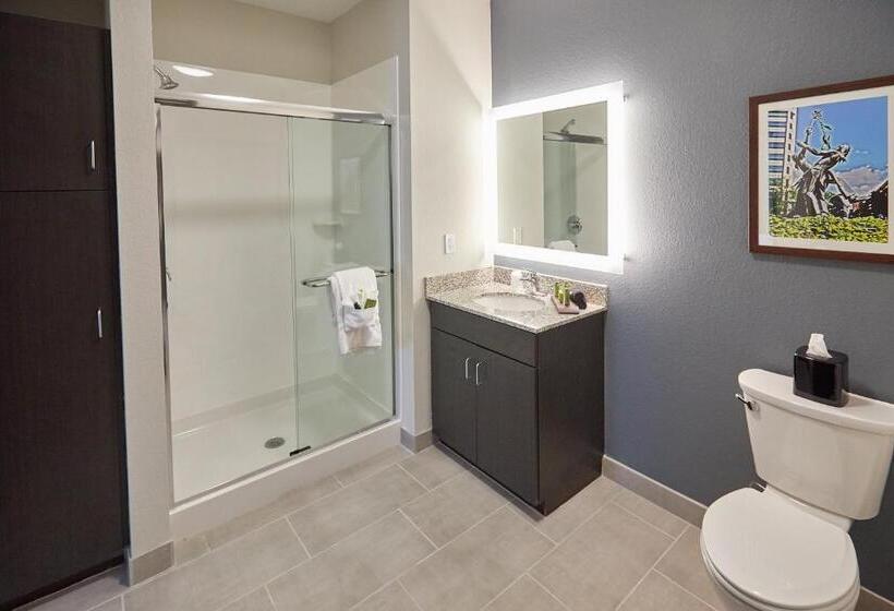 Люкс Deluxe Кровать Кинг, Gundersen Hotel & Suites