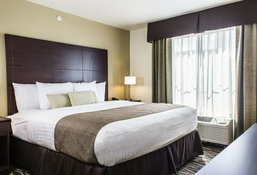 Студия Стандарт, Cobblestone Hotel & Suites   Stevens Point