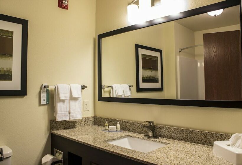 스탠다드 스튜디오, Cobblestone Hotel & Suites   Stevens Point