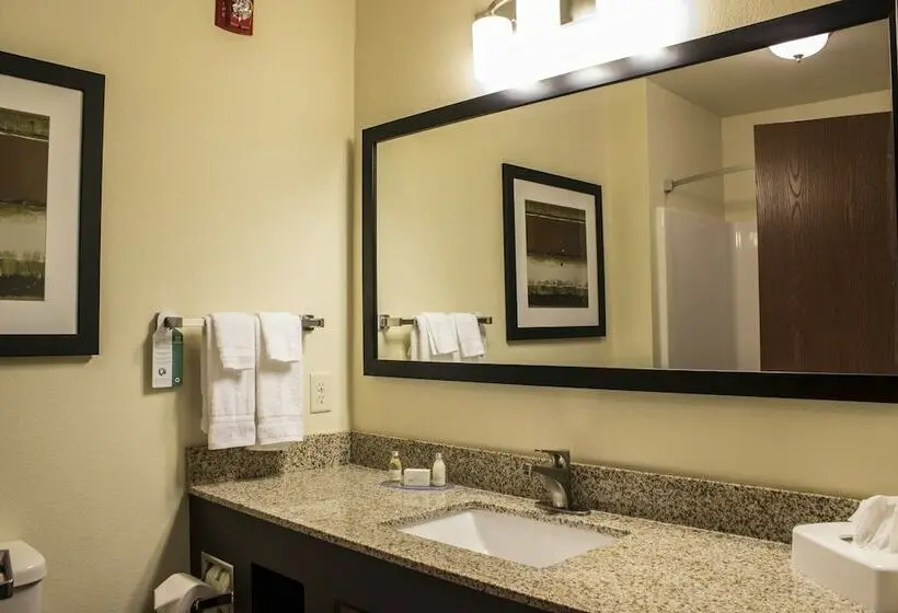 Standard-studio, Cobblestone Hotel & Suites Stevens Point