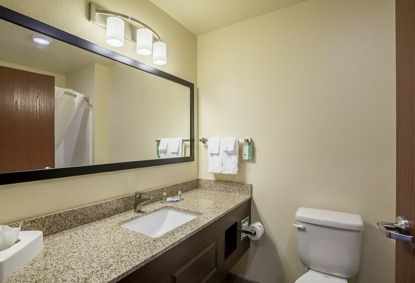 Студия Стандарт, Cobblestone Hotel & Suites   Stevens Point