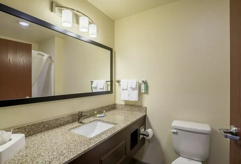 Standard-studio, Cobblestone Hotel & Suites Stevens Point