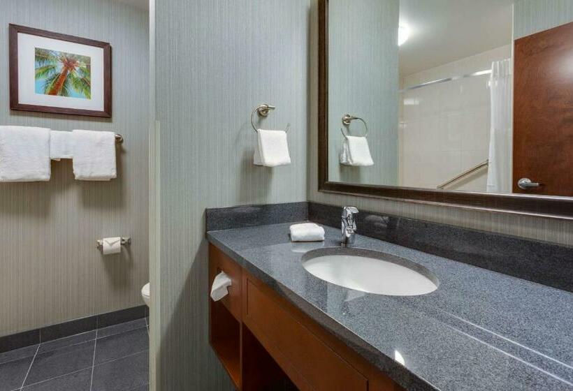 带大床的套房, Drury Inn & Suites Fort Myers Airport Fgcu