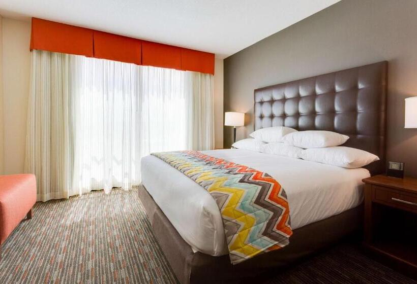 غرفة ديلوكس سرير كينج, Drury Inn & Suites Fort Myers Airport Fgcu