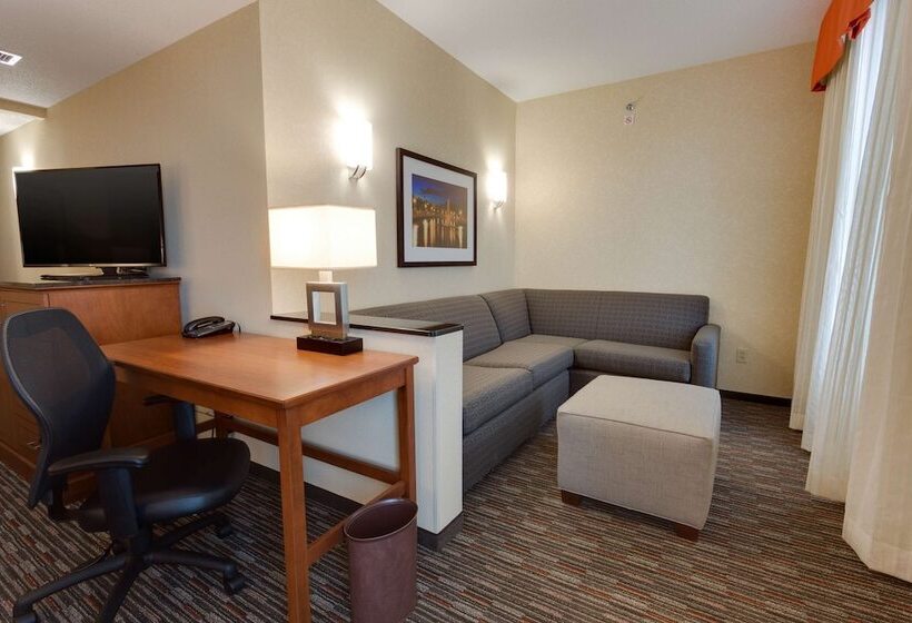 豪华房间, Drury Inn & Suites Fort Myers Airport Fgcu