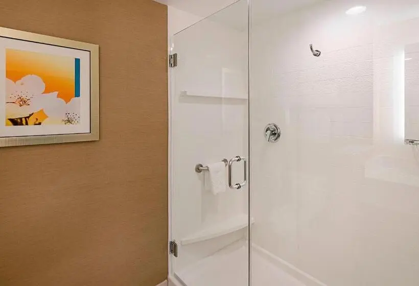キングサイズベッドのスタンダードルーム, Fairfield Inn & Suites By Marriott Abingdon