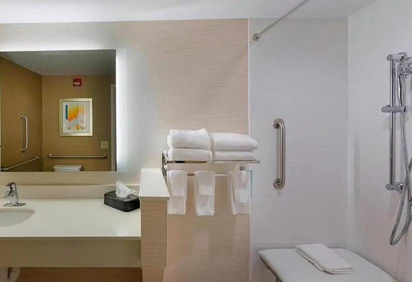 シングルデラックスルーム, Fairfield Inn & Suites By Marriott Abingdon