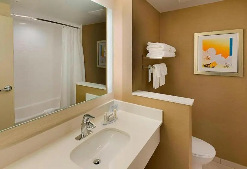 シングルデラックスルーム, Fairfield Inn & Suites By Marriott Abingdon