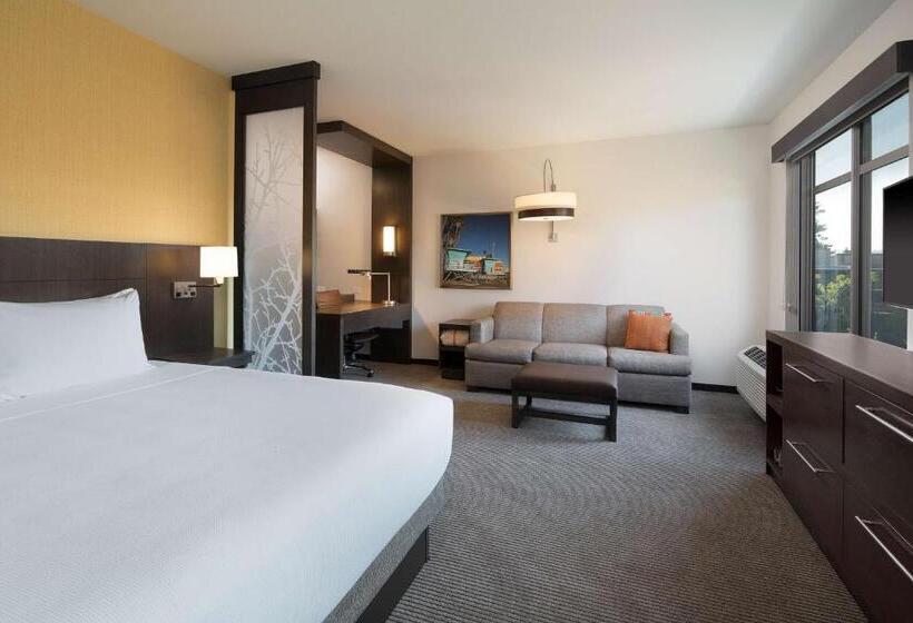 غرفة قياسية بالطابق العلوى, Hyatt Place Santa Cruz