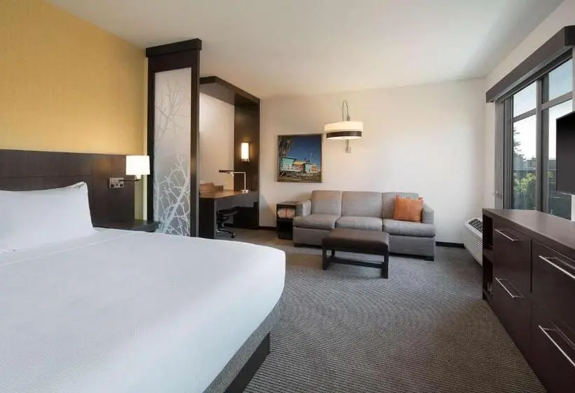 上層階スタンダードルーム, Hyatt Place Santa Cruz