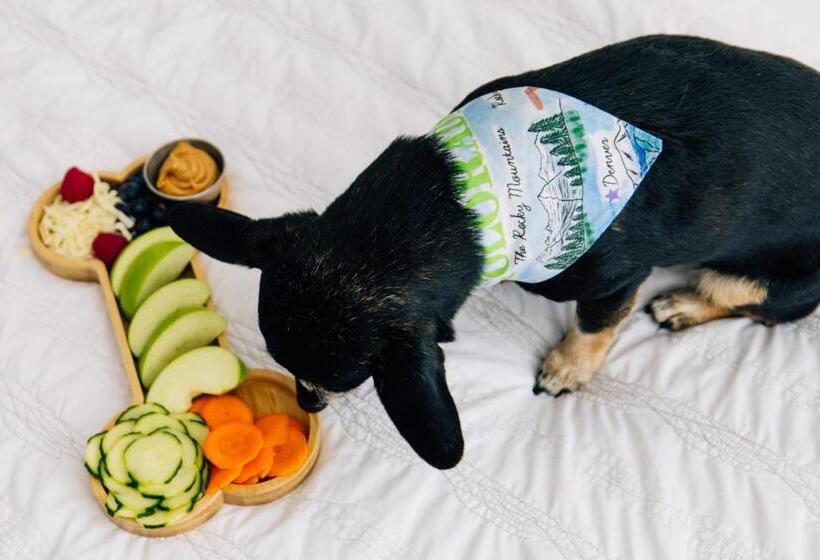 Номер Стандарт Вид на Город, Le Méridien Denver Downtown