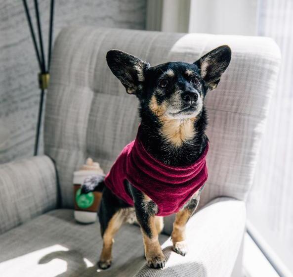 Номер Deluxe Адаптированный для Инвалидов, Le Méridien Denver Downtown