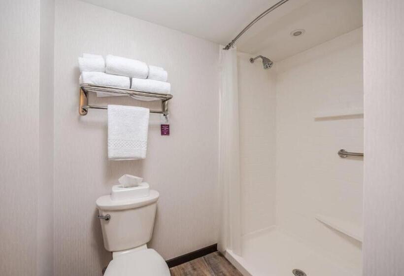 带大床的套房, Residence Inn By Marriott Pittsburgh Oakland/university Place