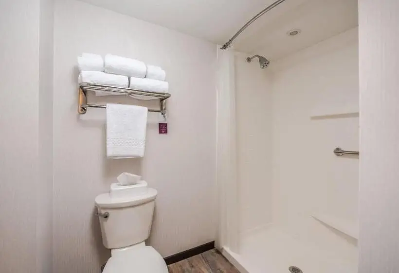 Sviitti King-vuode, Residence Inn By Marriott Pittsburgh Oakland/university Place