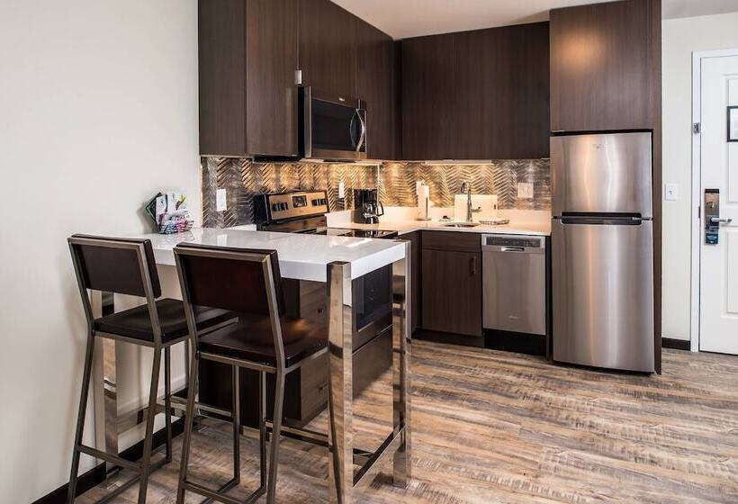 带2个卧室的套房, Residence Inn By Marriott Pittsburgh Oakland/university Place