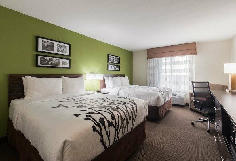 스탠다드 룸 더블 침대 2개, Sleep Inn & Suites