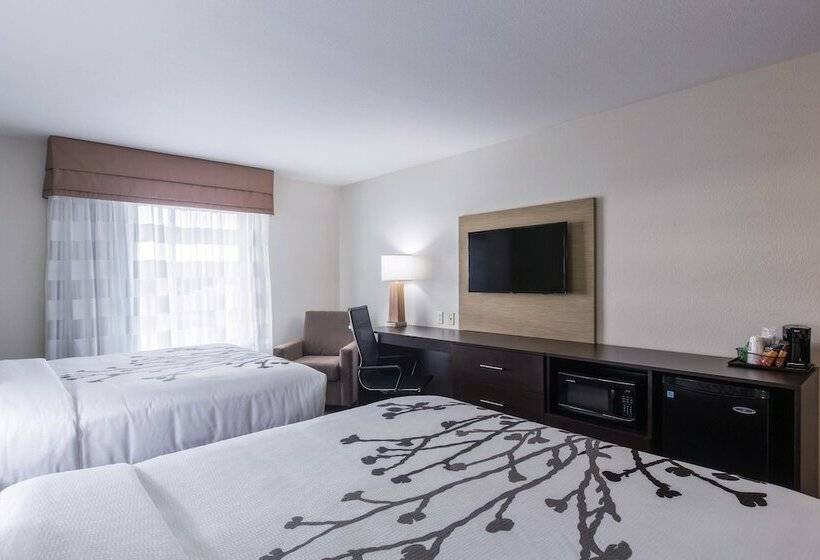 스탠다드 룸 더블 침대 2개, Sleep Inn & Suites