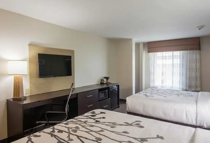 2ダブルベッドのスタンダードルーム, Sleep Inn & Suites