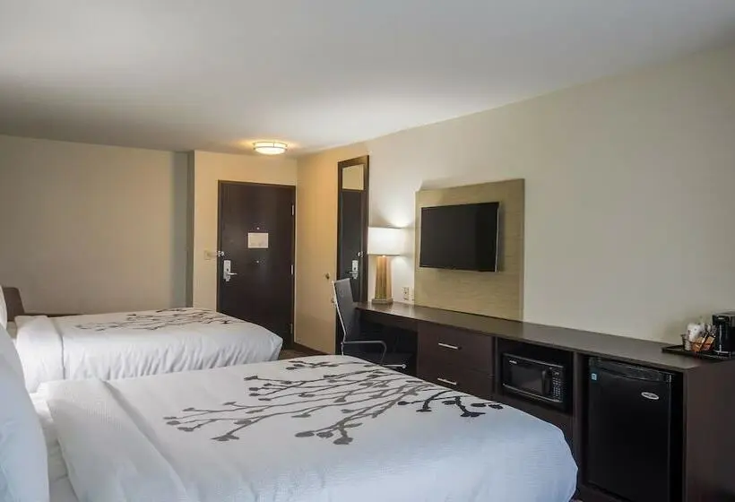 2ダブルベッドのスタンダードルーム, Sleep Inn & Suites