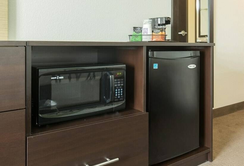 스탠다드 룸 더블 침대 2개, Sleep Inn & Suites