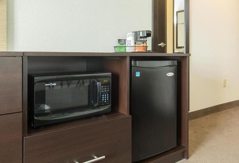 스탠다드 룸 더블 침대 2개, Sleep Inn & Suites