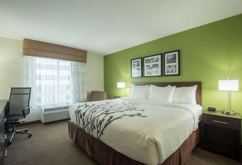 스탠다드 룸 킹사이즈 침대, Sleep Inn & Suites
