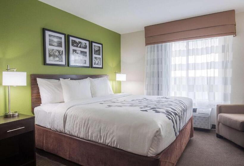 스탠다드 룸 킹사이즈 침대, Sleep Inn & Suites